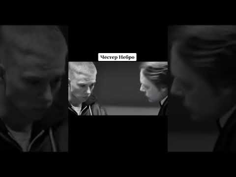 Честер Небро надпись