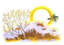 Николай Иванович Сладков медведь и солнце