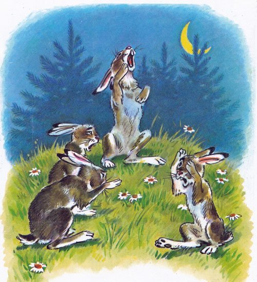 Чуковский краденое солнце иллюстрации художников