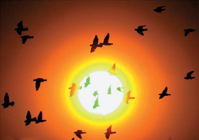 Образ солнца