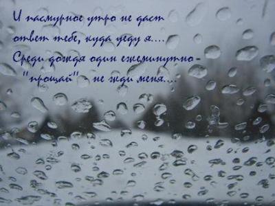 Дождливое утро