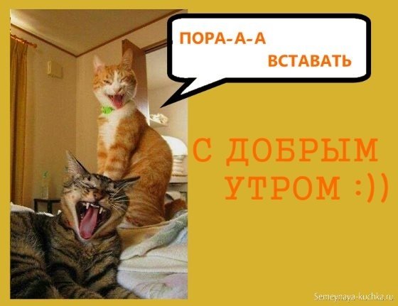 Доброе утро пора на работу