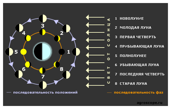 Механизм солнечного затмения