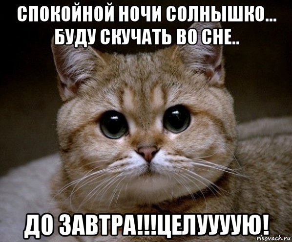 Спокойной ночи солнышко