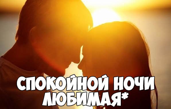 Спокойной ночи пушистых снов