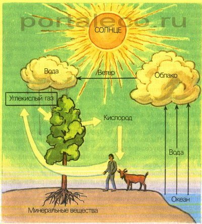 Круговорот воды в природе