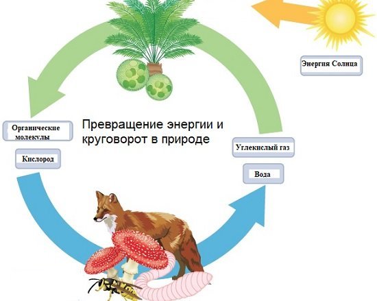 Круговорот воды в природе рисунок