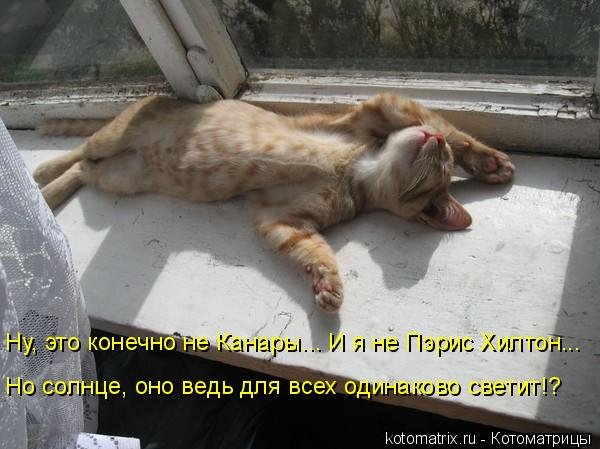 Наконец-то солнце