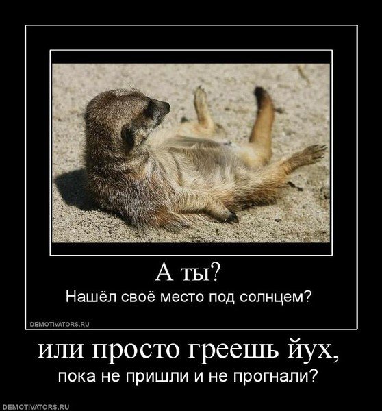 За место под солнцем