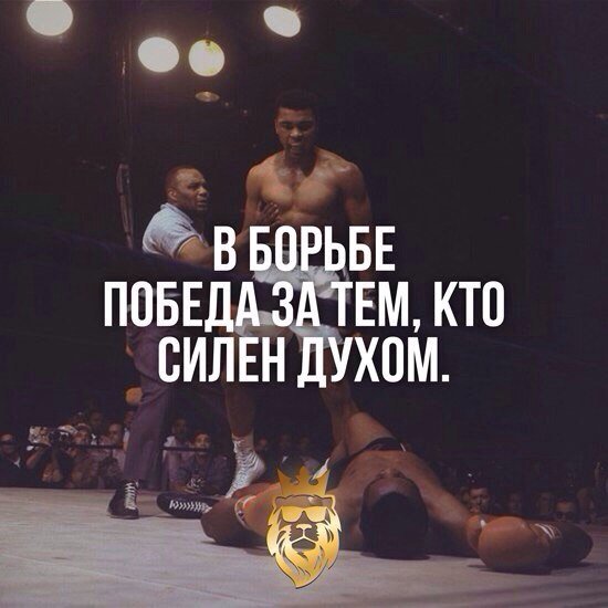 Конкуренция животных