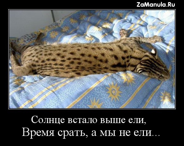 Моё солнышко проснулось