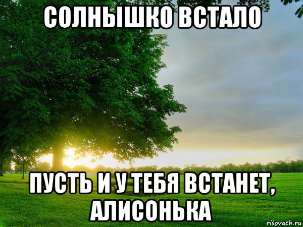 Добрый день солнышко