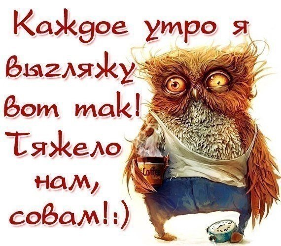 Как вы провели лето