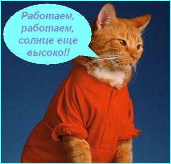 Работать солнце еще высоко