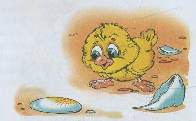 Про цыпленка солнце и медвежонка Геннадий Цыферов