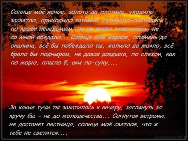 Солнышко моё