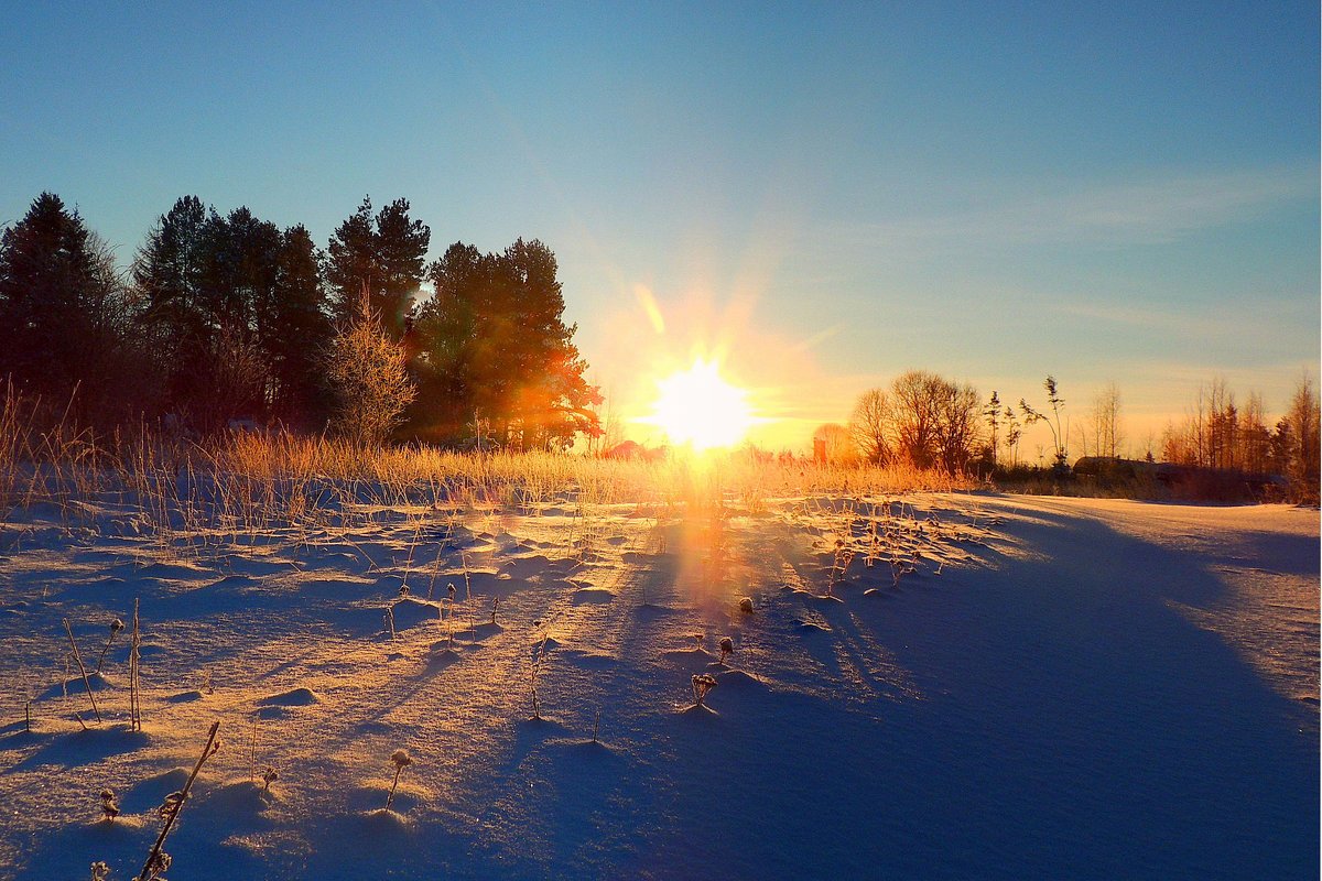Зима проснулась. Солнце зимой. Рассвет зимой. Раннее утро зимой. Зимний закат.