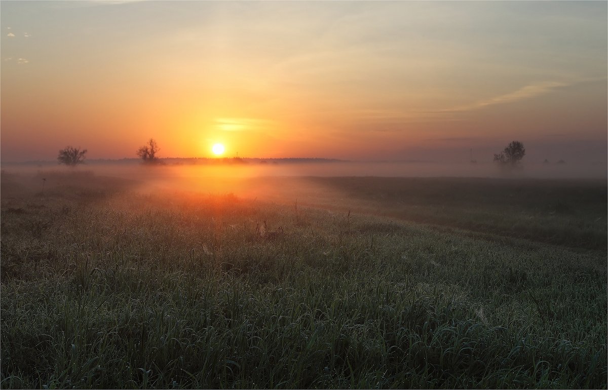 Спят в тумане поля. Рассвет солнца. Солнце в степи. Раннее утро. Рассвет в поле.