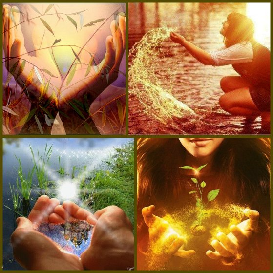 Солнце на ладони