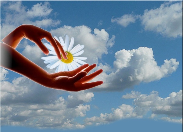 Душевное тепло в руках