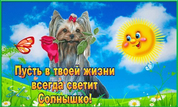 Дарю солнышко