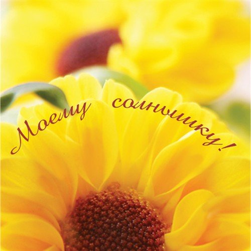 Доброе утро солнышко моё любимое