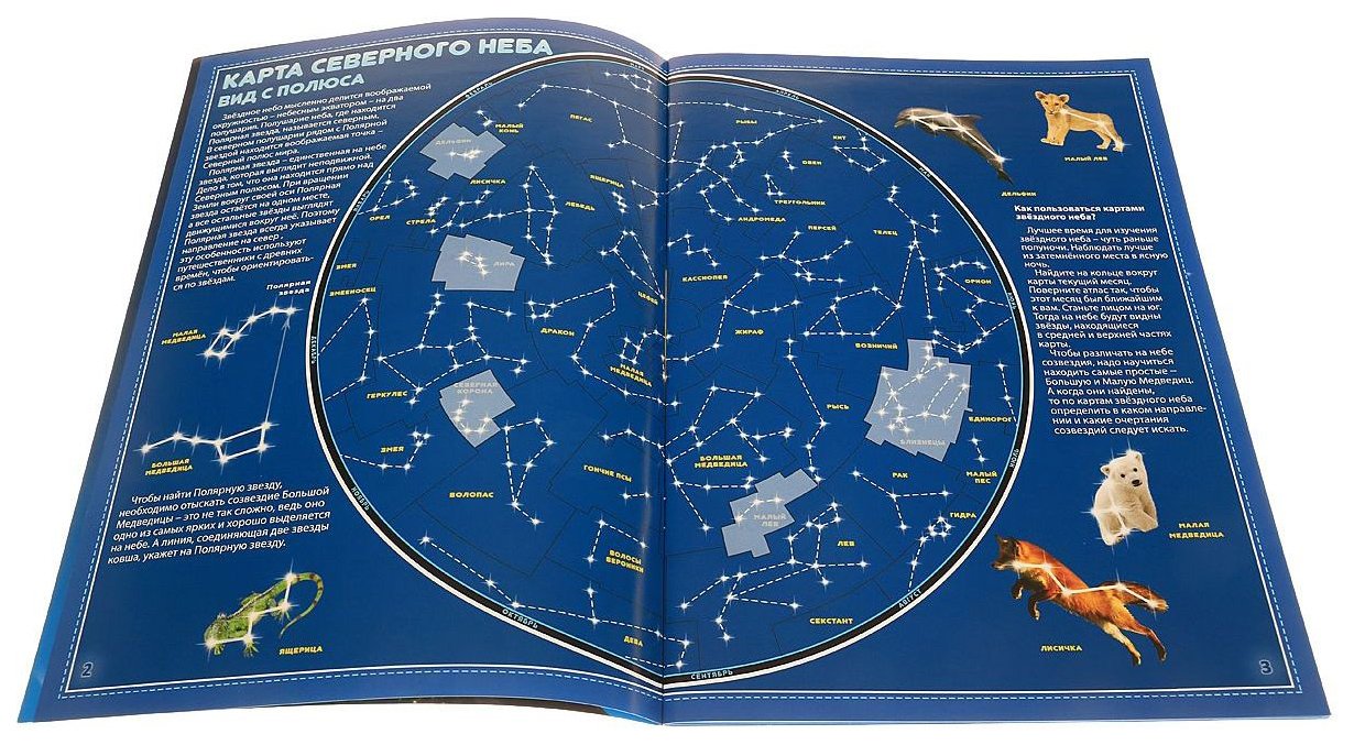 Интерактивные звездные карты. Карта звездного неба атлас. Атлас звездного неба ваго. Карта звездного неба с созвездиями атлас. Детский атлас звездного неба.