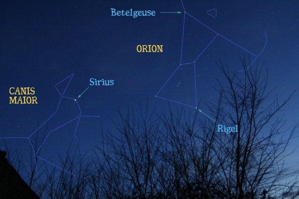 Бетельгейзе звезда Северное полушарие