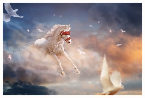 Лошади в облаках