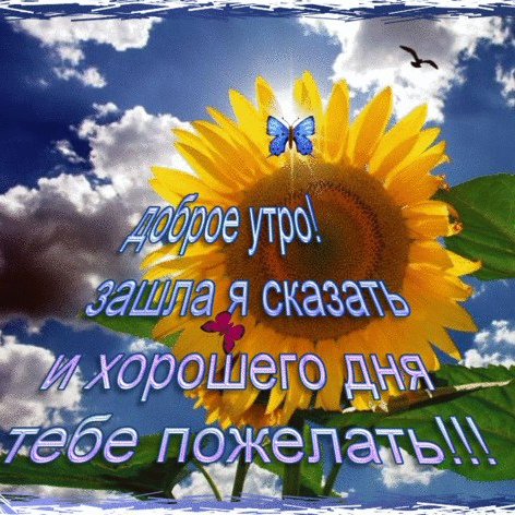 Солнца ясного дня прекрасного