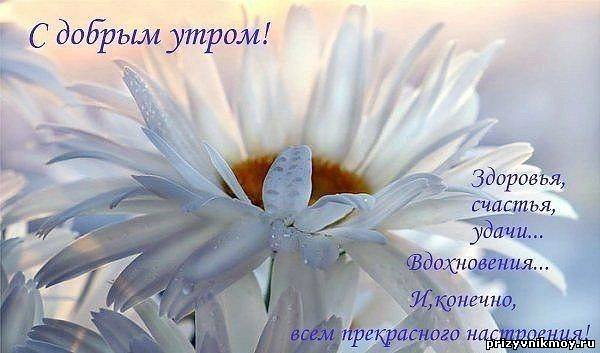 Доброго мирного утра