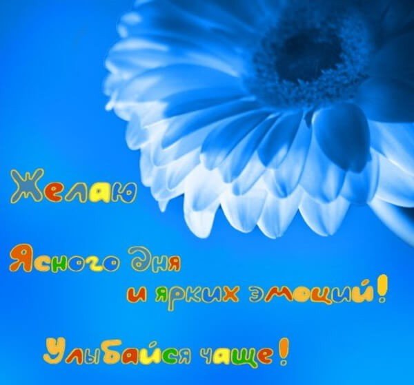 Доброе утро зайчик