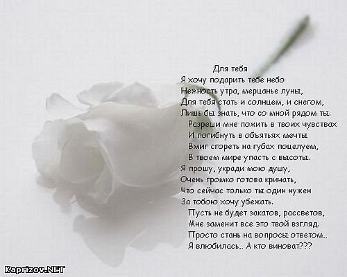 Любовь к природе