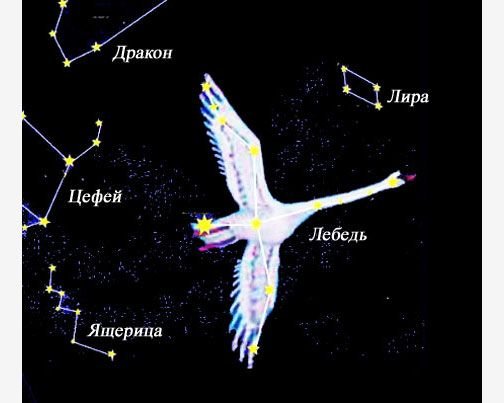 Созвездие лебедь