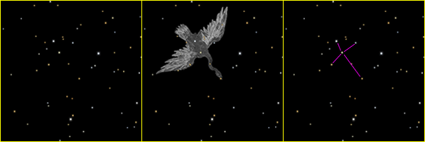 Созвездие лебедь Северный крест