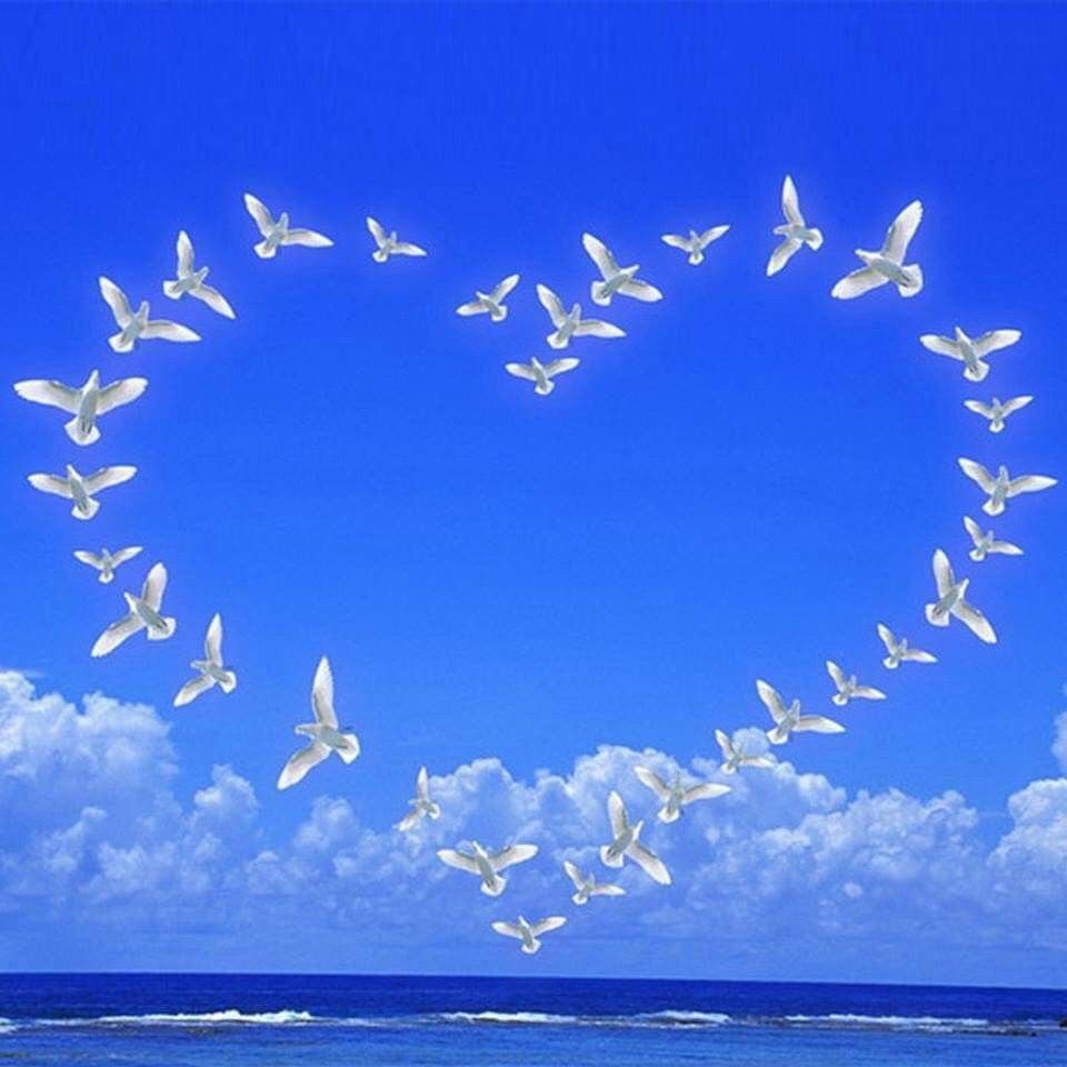 Картинки с пожеланиями мирного неба над головой. Сердечко в небе. Голуби в небе. Небо любви. Сердце из птиц в небе.