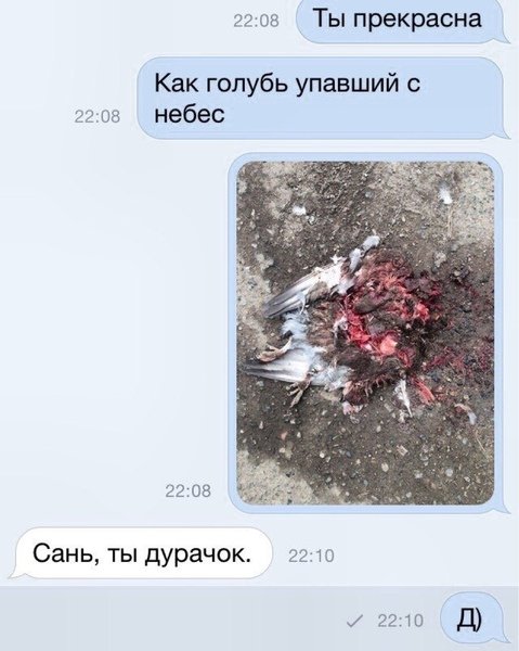 Ты прекрасна как голубь упавший с небес