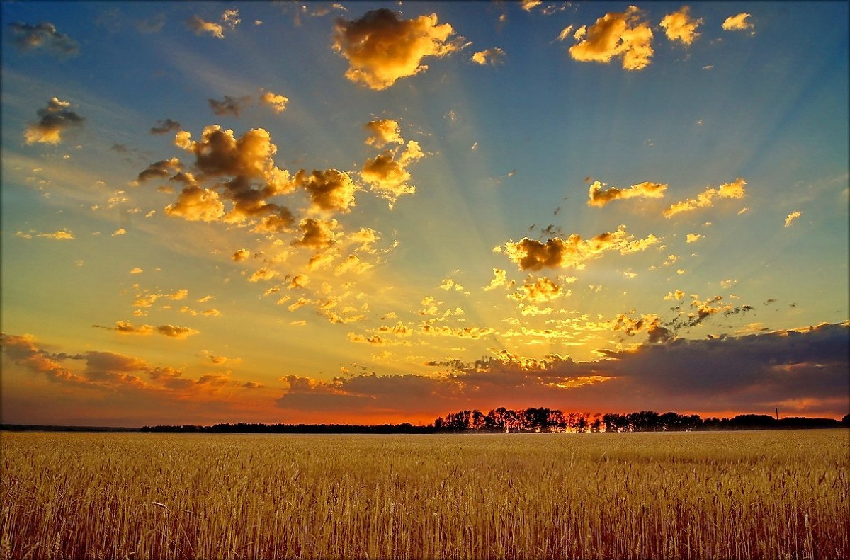 Никитин стихотворение в синем небе. Пейзаж небо. Закат в поле. Небо рассвет. Осеннее небо.
