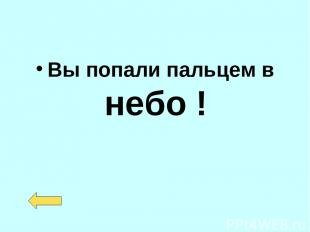 Пальцем в небо