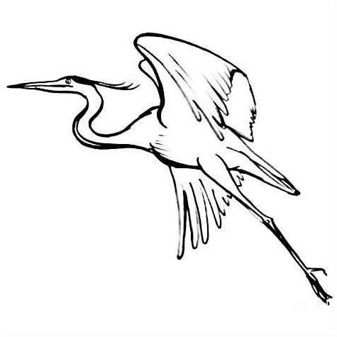 Стерх раскраска