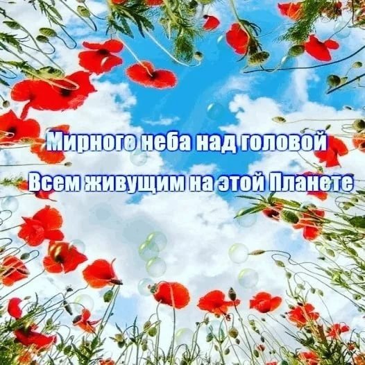 Весеннее небо с птицами