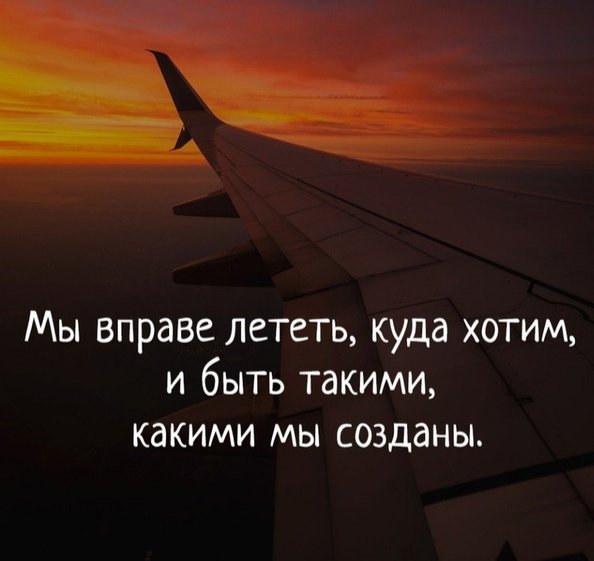 Улететь афоризмы