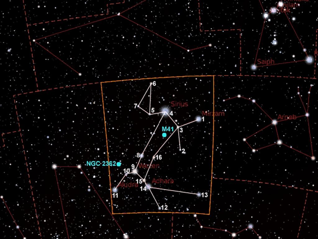 Яркая звезда в созвездии большого пса. Canis Major Созвездие. Созвездие большого пса Сириус. Созвездие большого пса на карте звездного неба. Созвездие Орион и большой пес.