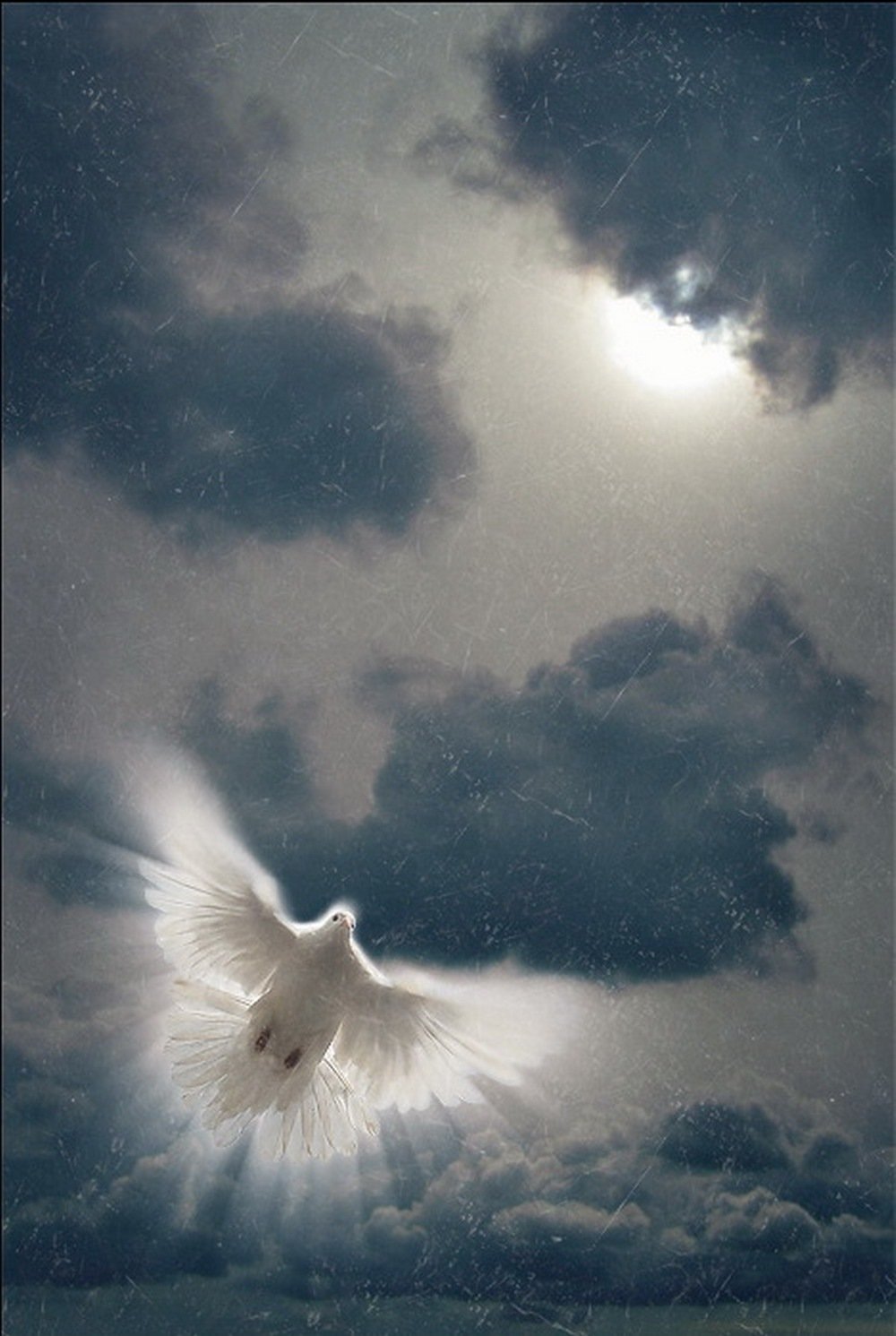 Души улетают в небо. Небесные ангелы. Птицы в небе. Ангел в небе. Душа в небе.