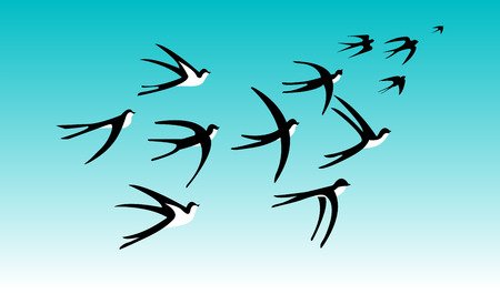 Стая ласточек