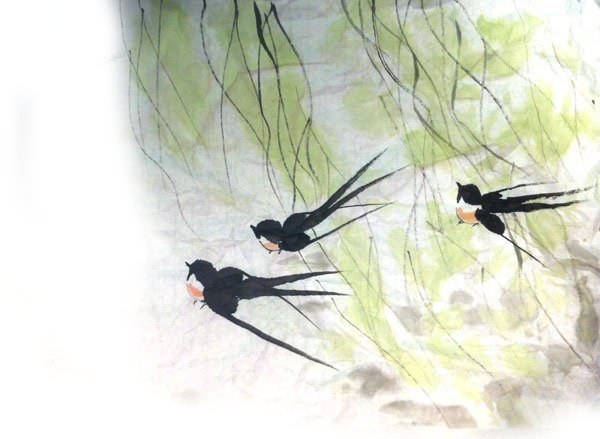 Ласточка для фотошопа