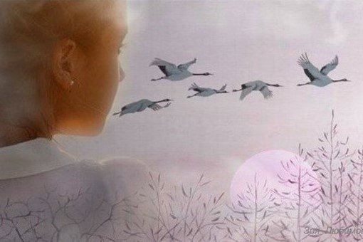 Журавли летят Степанов картина краткое описание