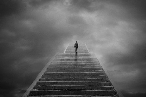 Лестница жизни