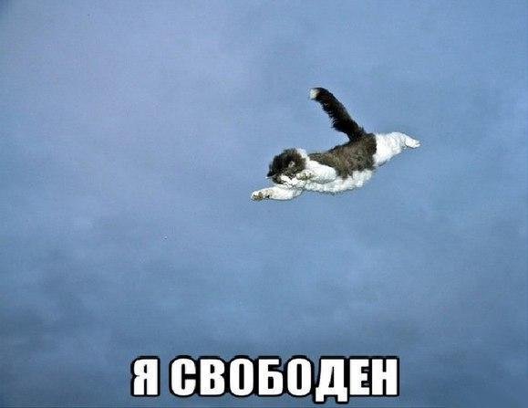 Я свободен словно птица в небесах