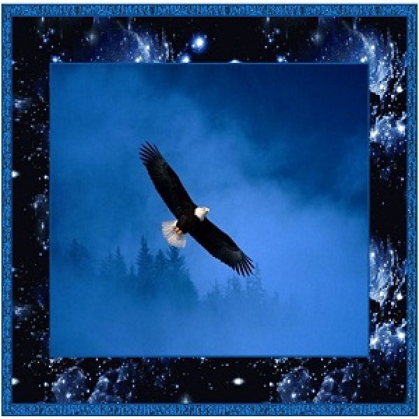 Белка молится